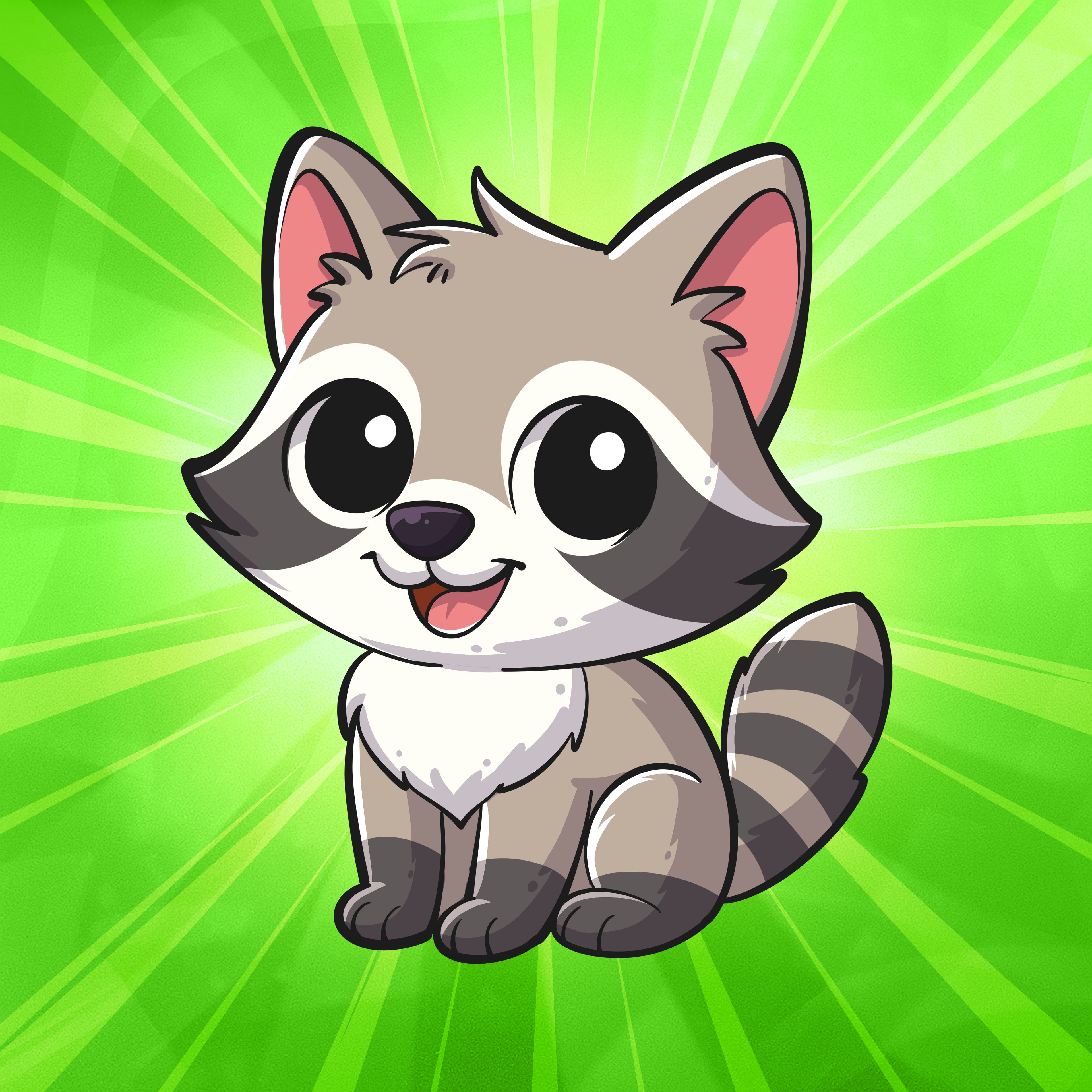 Raccoon
